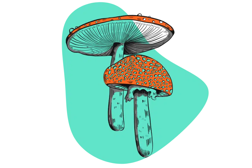 Mushrooms - Potentiate Psilocybin (Lemon-Tek)